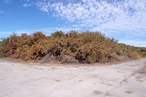 Terrain à North Port, Floride № 2163157