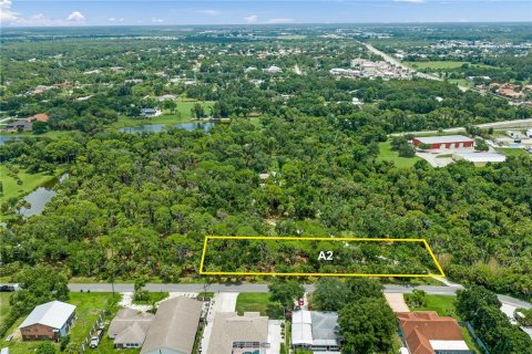 Terreno en venta en Nokomis, Florida № 2322482 - foto 21