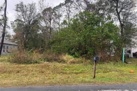 Land in Kissimmee, Florida № 1804855 - photo 2