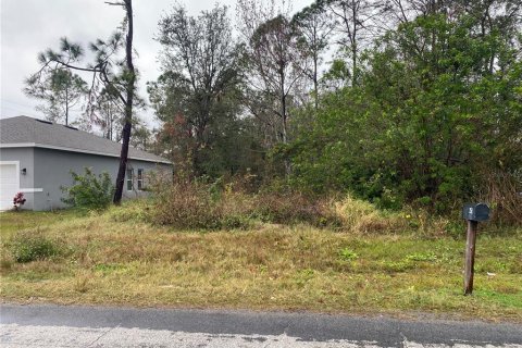 Land in Kissimmee, Florida № 1804855 - photo 3