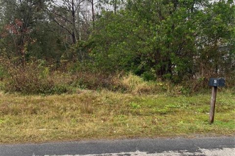 Land in Kissimmee, Florida № 1804855 - photo 5