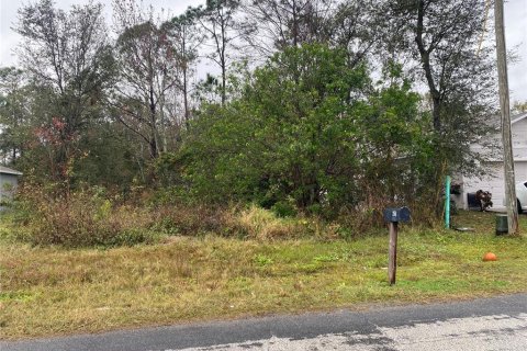 Land in Kissimmee, Florida № 1804855 - photo 4