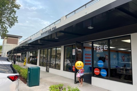 Immobilier commercial à Pinecrest, Floride № 2016839