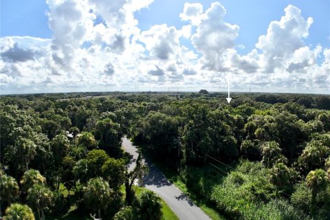 Land in Indiantown, Florida № 2130616 - photo 4