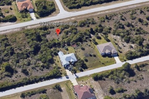 Land in Port Charlotte, Florida № 2160765 - photo 2