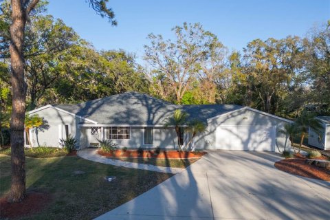 House in Lutz, Florida 5 bedrooms, 318.56 sq.m. № 1516532 - photo 1