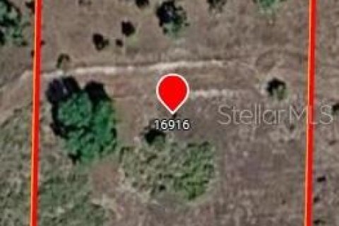 Terreno en venta en Okeechobee, Florida № 2167501 - foto 5
