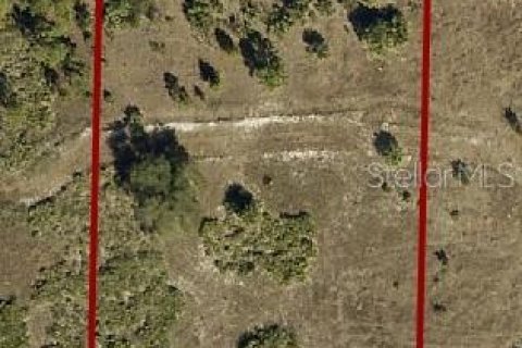 Terreno en Okeechobee, Florida № 2167501
