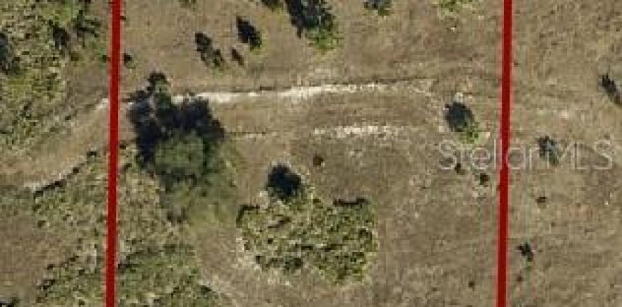 Terreno en Okeechobee, Florida № 2167501