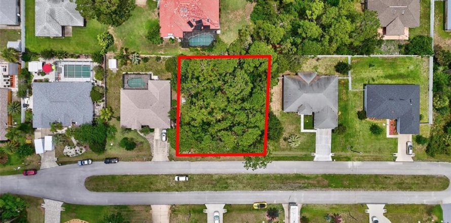 Land in Palm Coast, Florida № 1759307