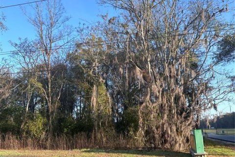Terrain à Ocala, Floride № 2235178