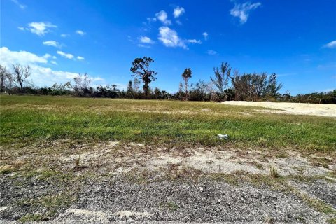 Terreno en venta en Cape Coral, Florida № 1803180 - foto 2