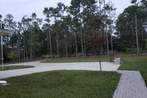 Villa ou maison à louer à Orlando, Floride: 1 chambre, 37.16 m2 № 2148976 - photo 17