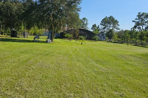 Villa ou maison à louer à Orlando, Floride: 1 chambre, 37.16 m2 № 2148976 - photo 18