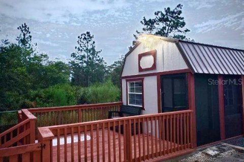 Villa ou maison à louer à Orlando, Floride: 1 chambre, 37.16 m2 № 2148976 - photo 2