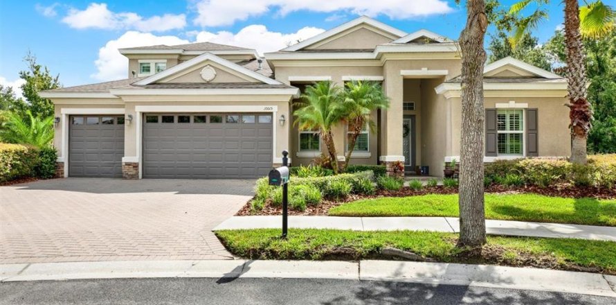 House in Tampa, Florida 6 bedrooms, 358.05 sq.m. № 1877431