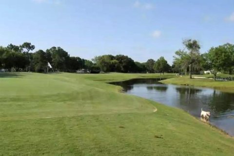Land in Winter Park, Florida № 2107156 - photo 4