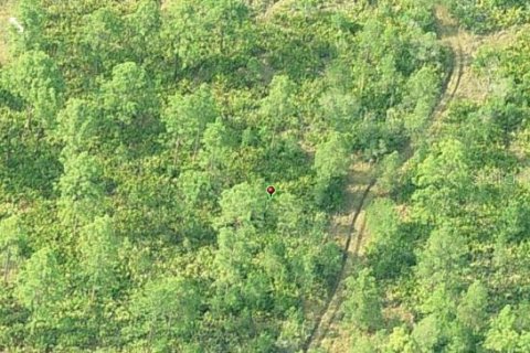 Land in Orlando, Florida № 2160502 - photo 3