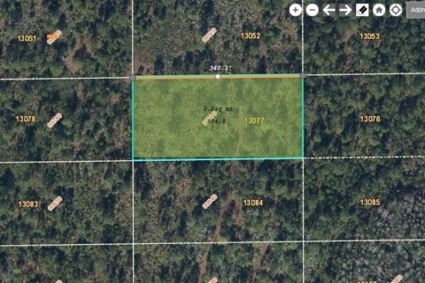 Land in Orlando, Florida № 2160502