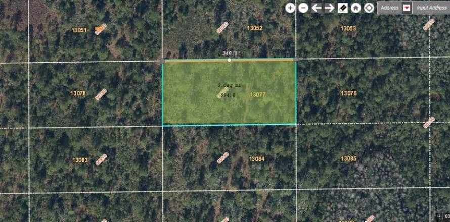 Land in Orlando, Florida № 2160502