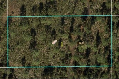 Land in Orlando, Florida № 2160502 - photo 2
