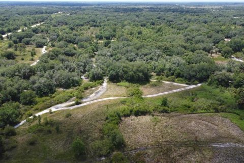 Land in Okeechobee, Florida № 2161788 - photo 4
