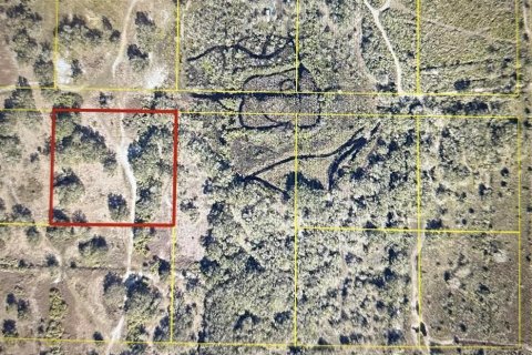 Land in Okeechobee, Florida № 2161788 - photo 2