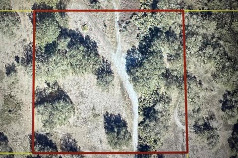 Land in Okeechobee, Florida № 2161788