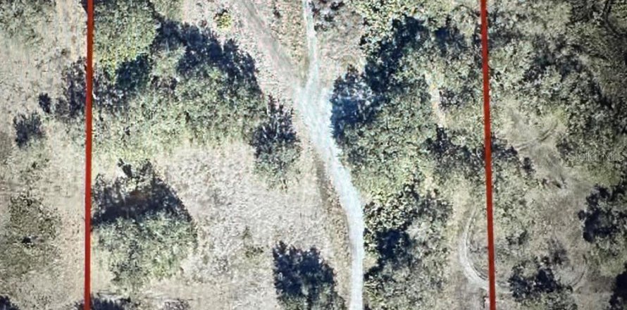 Land in Okeechobee, Florida № 2161788