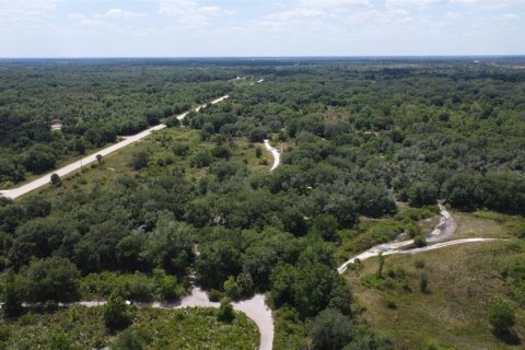 Land in Okeechobee, Florida № 2161788 - photo 3