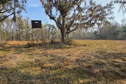 House in Perry, Florida 3 bedrooms, 111.48 sq.m. № 2238687 - photo 4