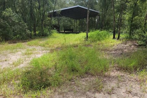 Land in Spring Hill, Florida № 2322678 - photo 5