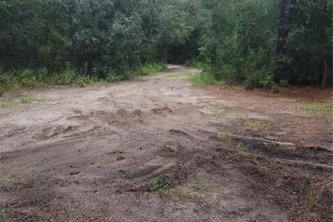Land in Spring Hill, Florida № 2322678 - photo 2