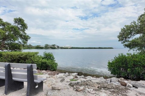 Condo in Palm Harbor, Florida, 1 bedroom  № 2096310 - photo 29
