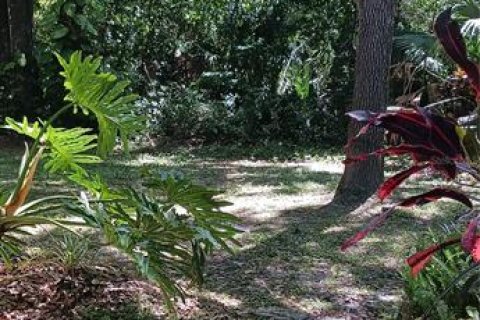 Condo in Palm Harbor, Florida, 1 bedroom  № 2096310 - photo 26