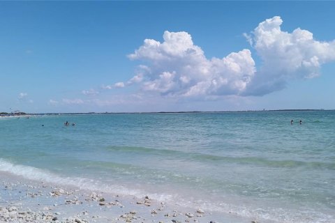 Condo in Palm Harbor, Florida, 1 bedroom  № 2096310 - photo 30