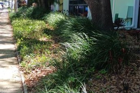 Condo in Palm Harbor, Florida, 1 bedroom  № 2096310 - photo 24