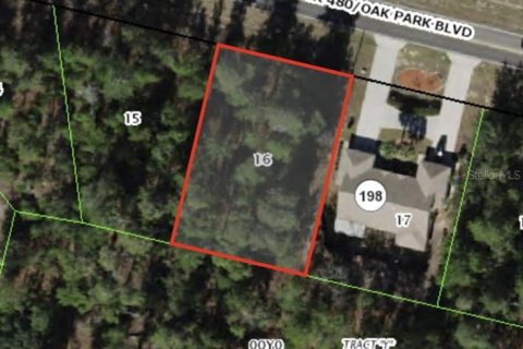 Terrain à Homosassa, Floride № 2150475