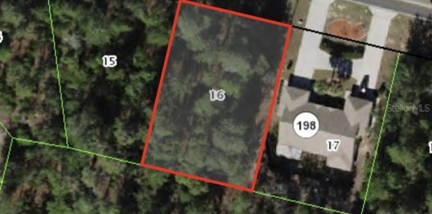 Terrain à Homosassa, Floride № 2150475
