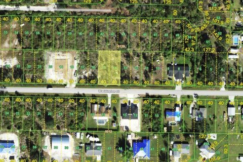 Terrain à vendre à Punta Gorda, Floride № 1416103 - photo 2