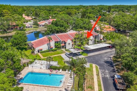 Condo in Palm Harbor, Florida, 2 bedrooms № 2198916 - photo 20