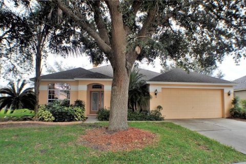 Villa ou maison à Valrico, Floride 3 chambres, 212.1 m2 № 2151665