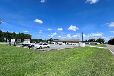 Immobilier commercial à louer à Chiefland, Floride: 304.07 m2 № 2425320 - photo 10