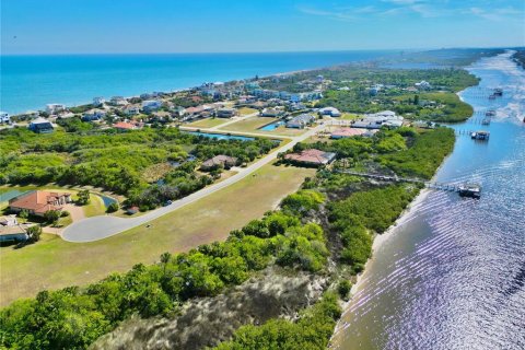 Terreno en venta en Flagler Beach, Florida № 1718174 - foto 6