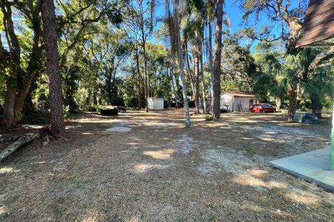 Villa ou maison à vendre à Temple Terrace, Floride: 5 chambres, 206.61 m2 № 1826836 - photo 6