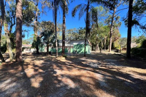 Villa ou maison à vendre à Temple Terrace, Floride: 5 chambres, 206.61 m2 № 1826836 - photo 5