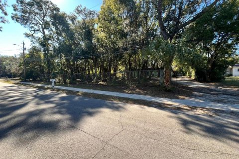 Villa ou maison à vendre à Temple Terrace, Floride: 5 chambres, 206.61 m2 № 1826836 - photo 7