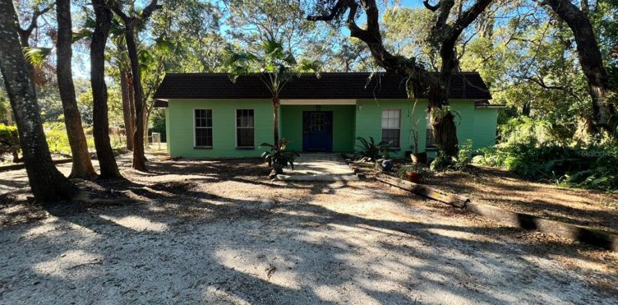 Villa ou maison à Temple Terrace, Floride 5 chambres, 206.61 m2 № 1826836