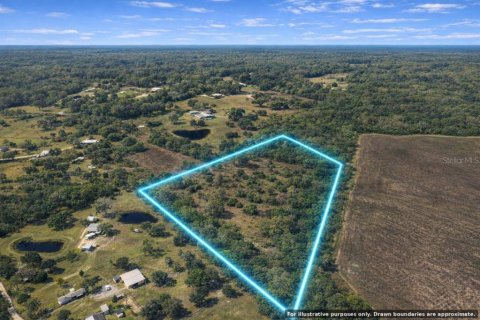 Terrain à Wimauma, Floride № 2156471