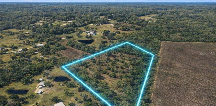 Terrain à Wimauma, Floride № 2156471